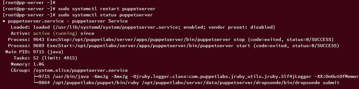 start verify puppet server