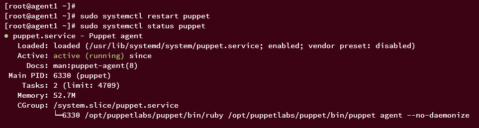 start verify puppet agent