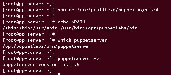 checking puppetserver