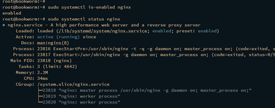 check nginx