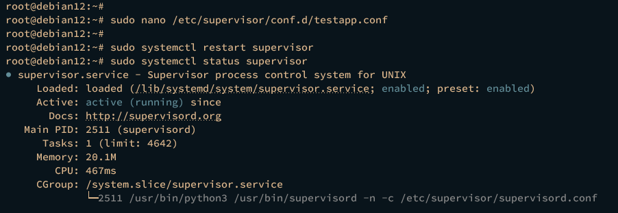 running django with gunicorn supervisor