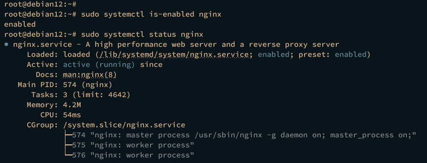 checking nginx