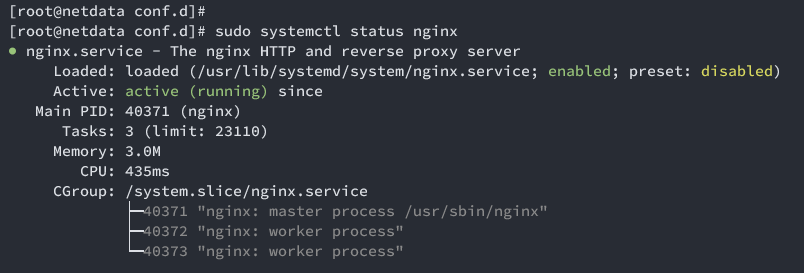 check nginx