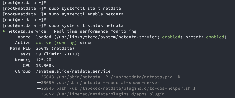 start verify netdata