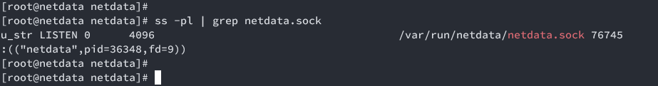 netdata sock file