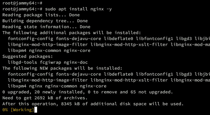 install nginx