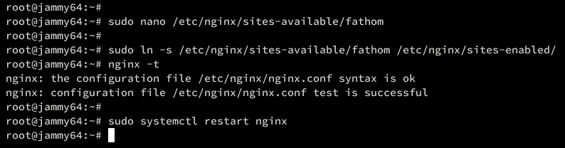 nginx reverse proxy