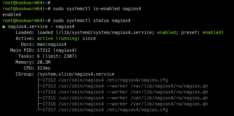 check nagios service