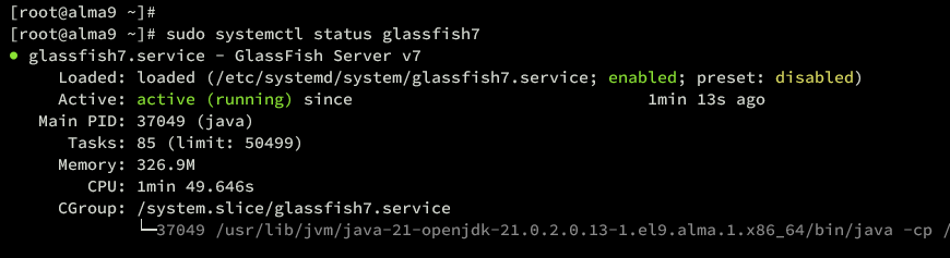 verify glassfish