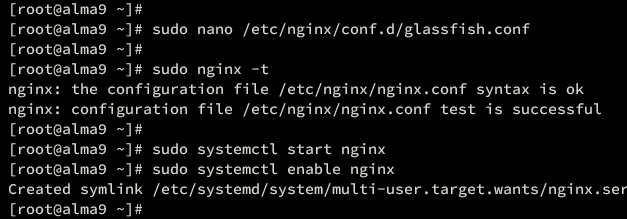 setup nginx