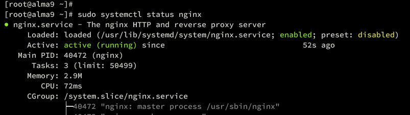 verify nginx