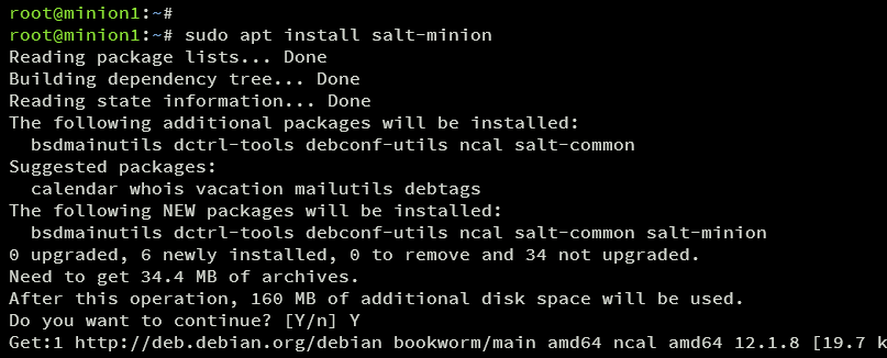 install salt-minion