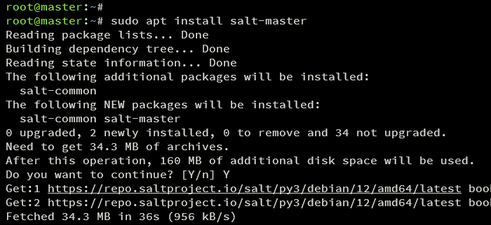 install salt master