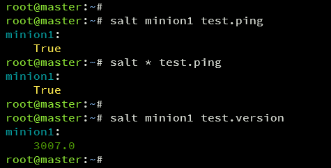 test salt ping and version