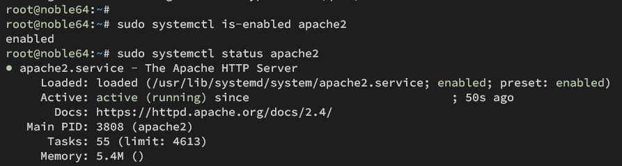 checking apache service