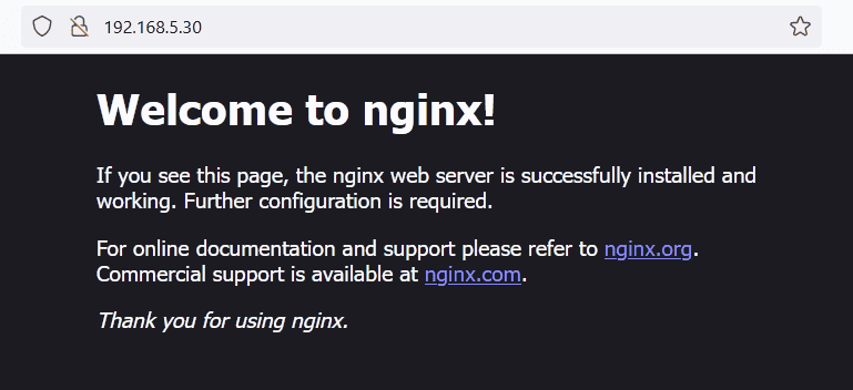 nginx index