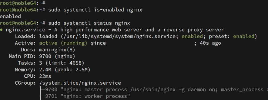 check nginx