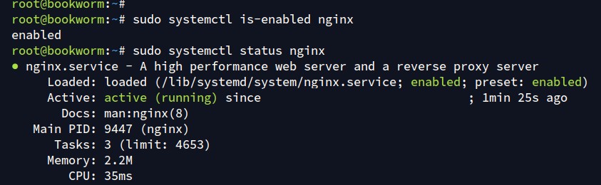 check nginx