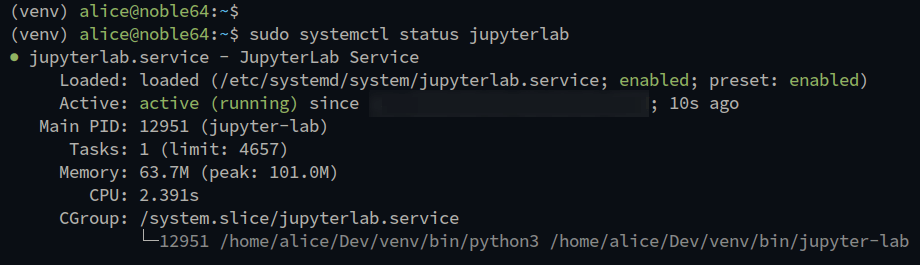 check jupyter status