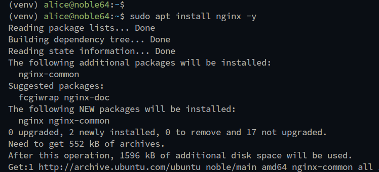 install nginx