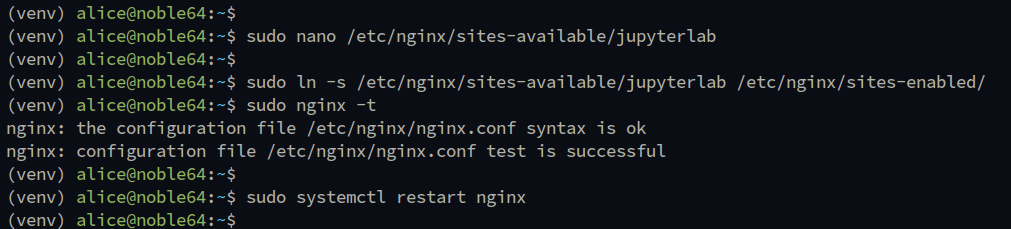 setup nginx reverse proxy