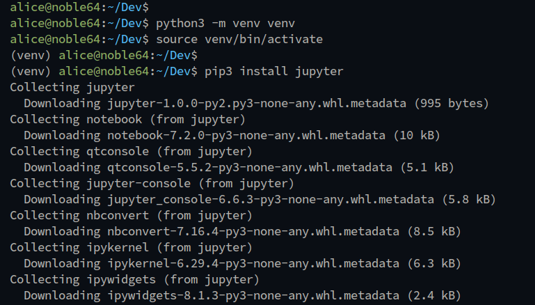 installing jupyter