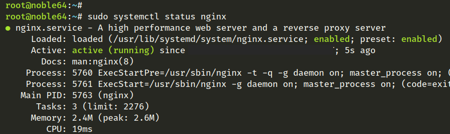 check nginx