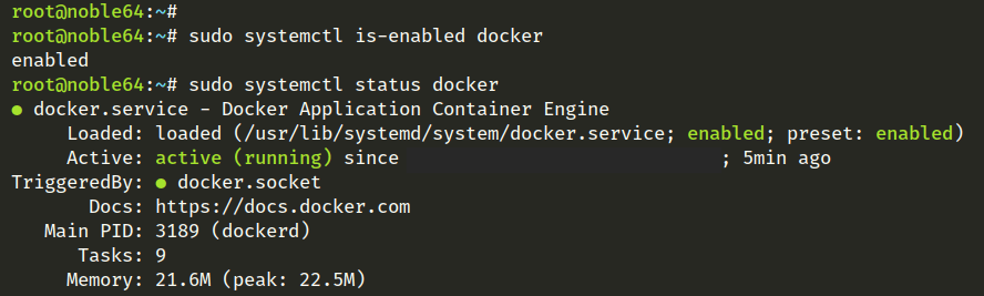 check docker