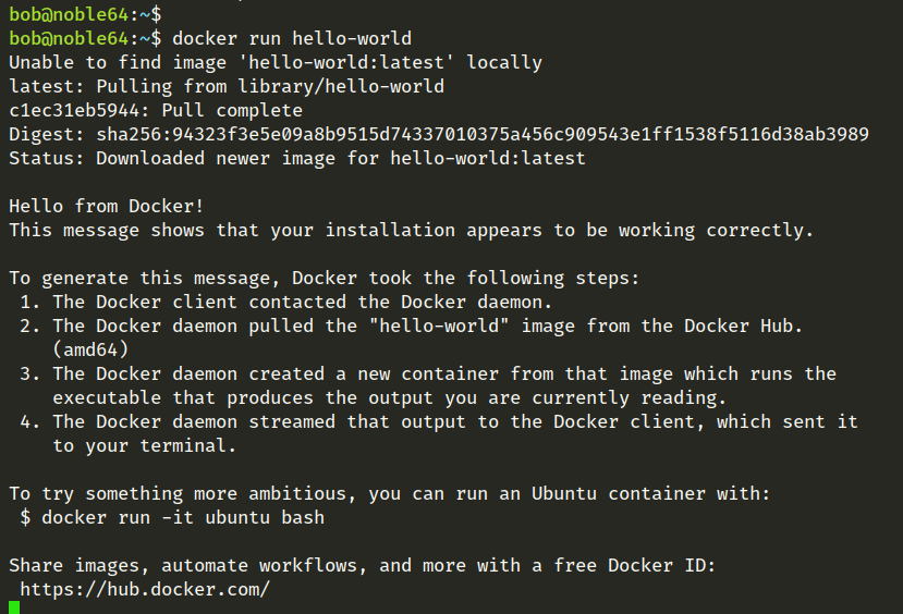 docker run hello world